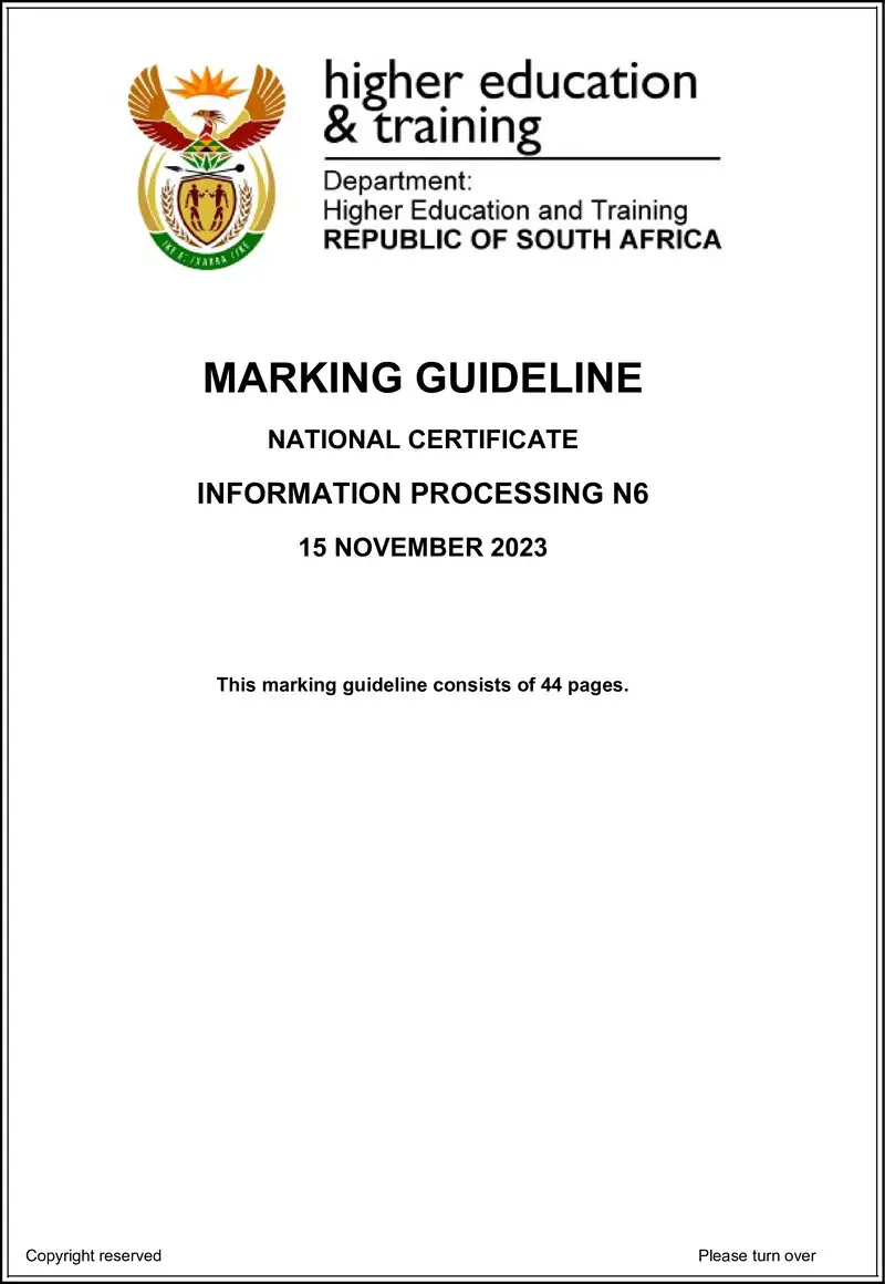 N690 Information Processing N6 MEMO Nov 2023 preview