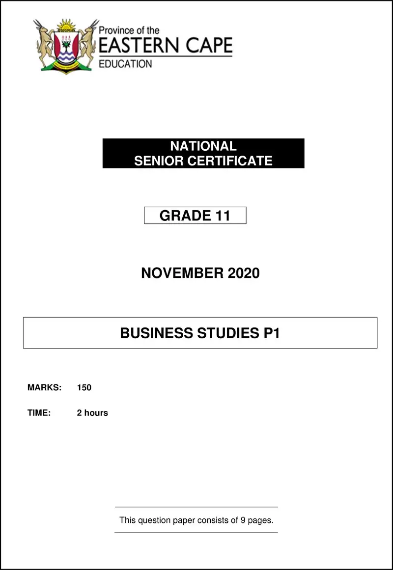 Grade 11 Business Studies past paper 2020 – bstd gr 11 p1 qp 2020