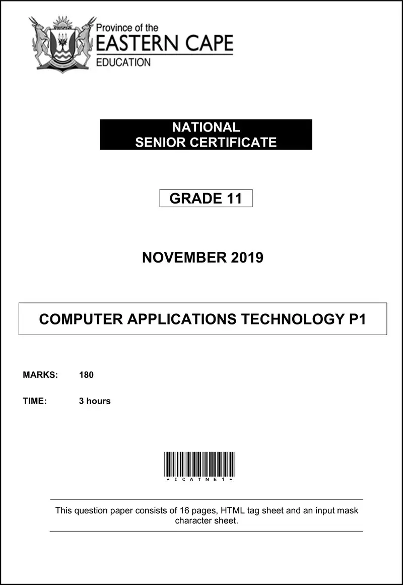 Grade 11 Computer Applications Technology past paper 2019 – cat p1 qp gr11 nov 2019 eng d