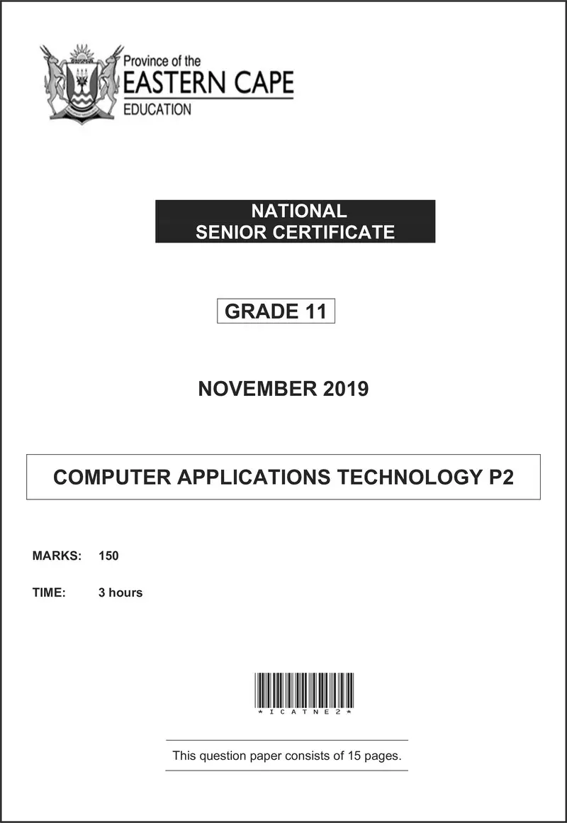 Grade 11 Computer Applications Technology past paper 2019 – cat p2 gr11 qp november 2019 eng d
