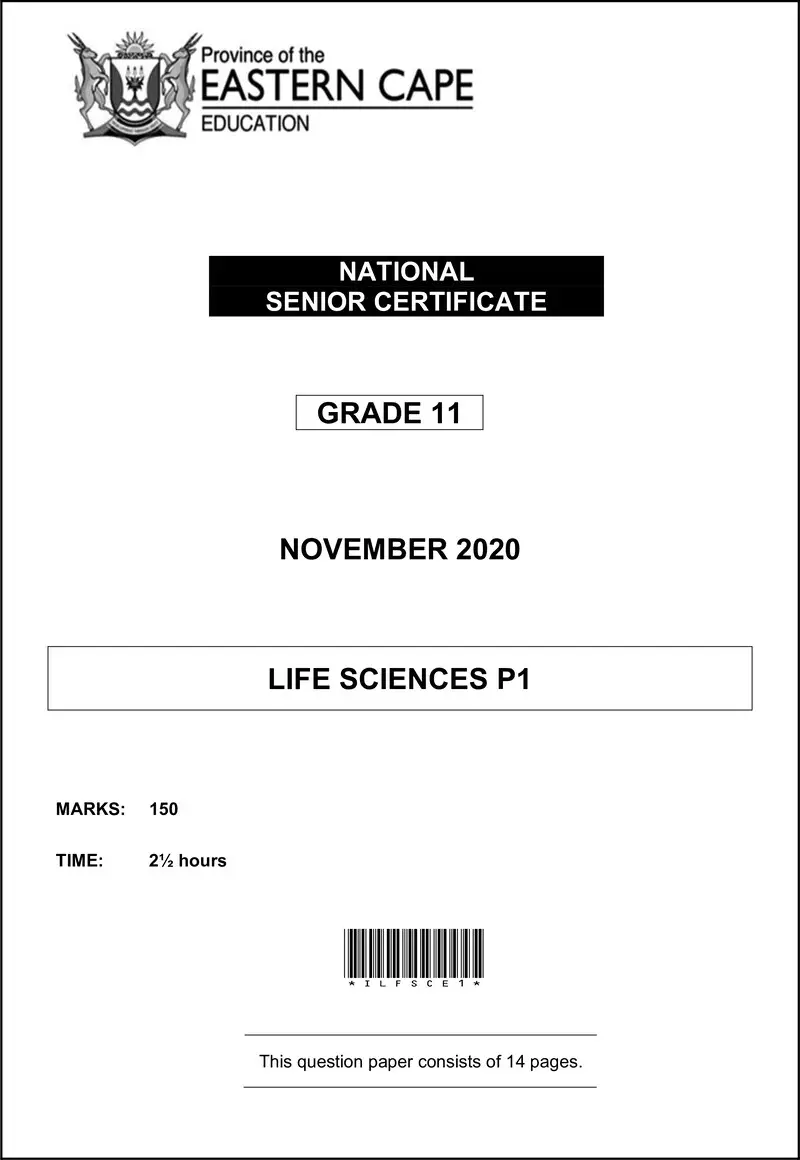 Grade 11 Life Sciences past paper 2020 – life sciences p1 qp gr11 nov 2020 eng d