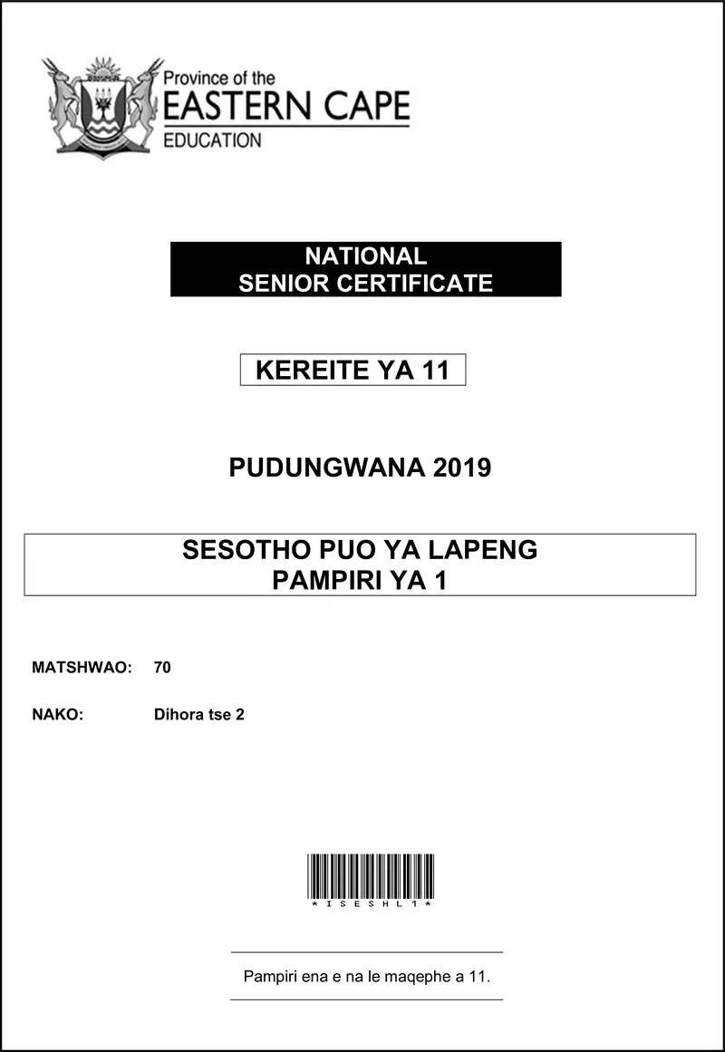 Grade 11 Sesotho past paper 2019 – seshl p1 gr11 qp nov2019 d