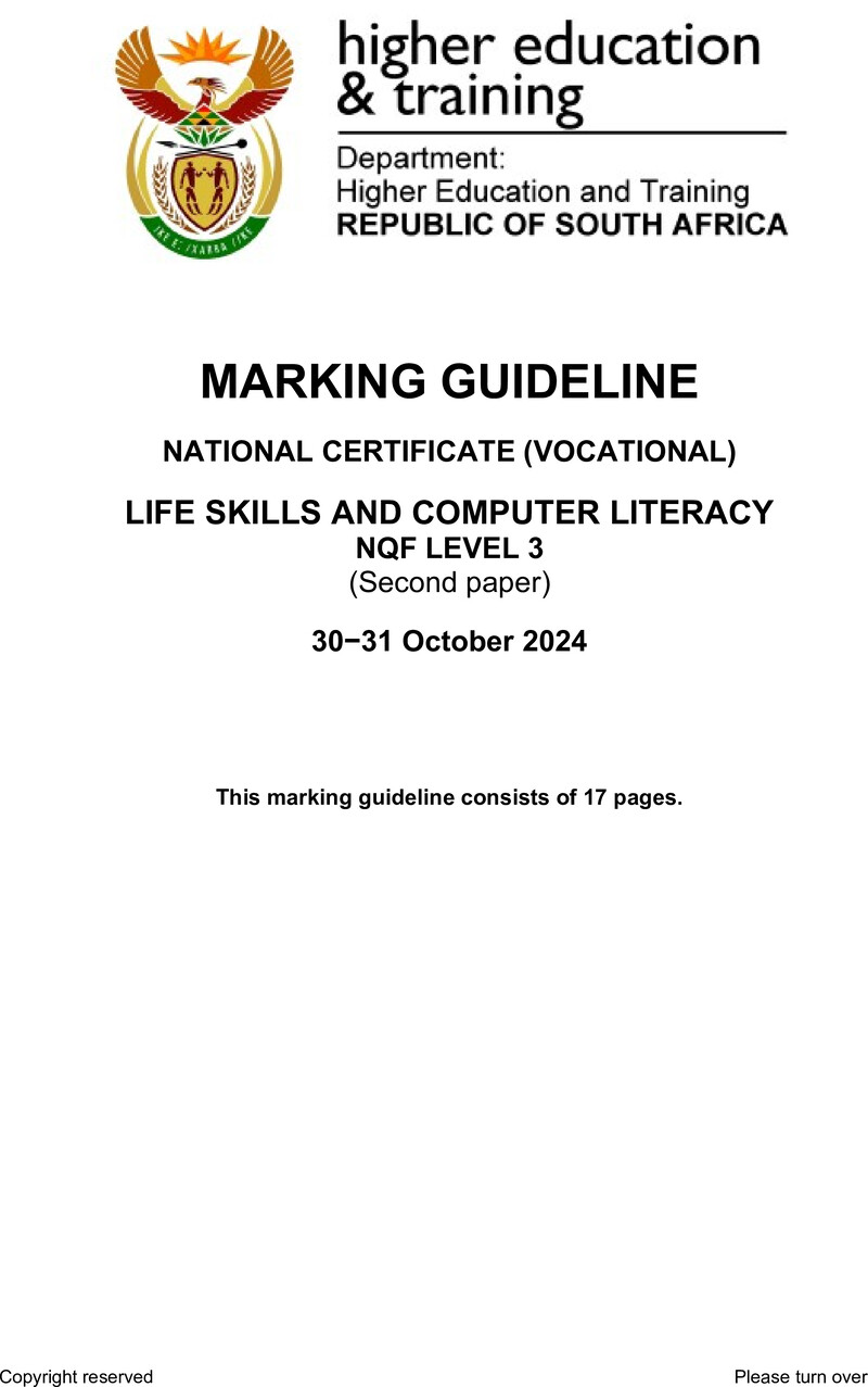 Life Skills And Computer Literacy L3 P2 MEMO Nov 2024 preview