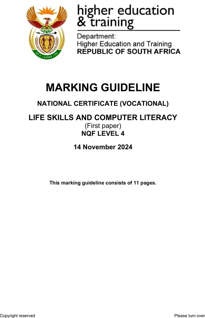 Life Skills And Computer Literacy L4 P1 MEMO Nov 2024 preview