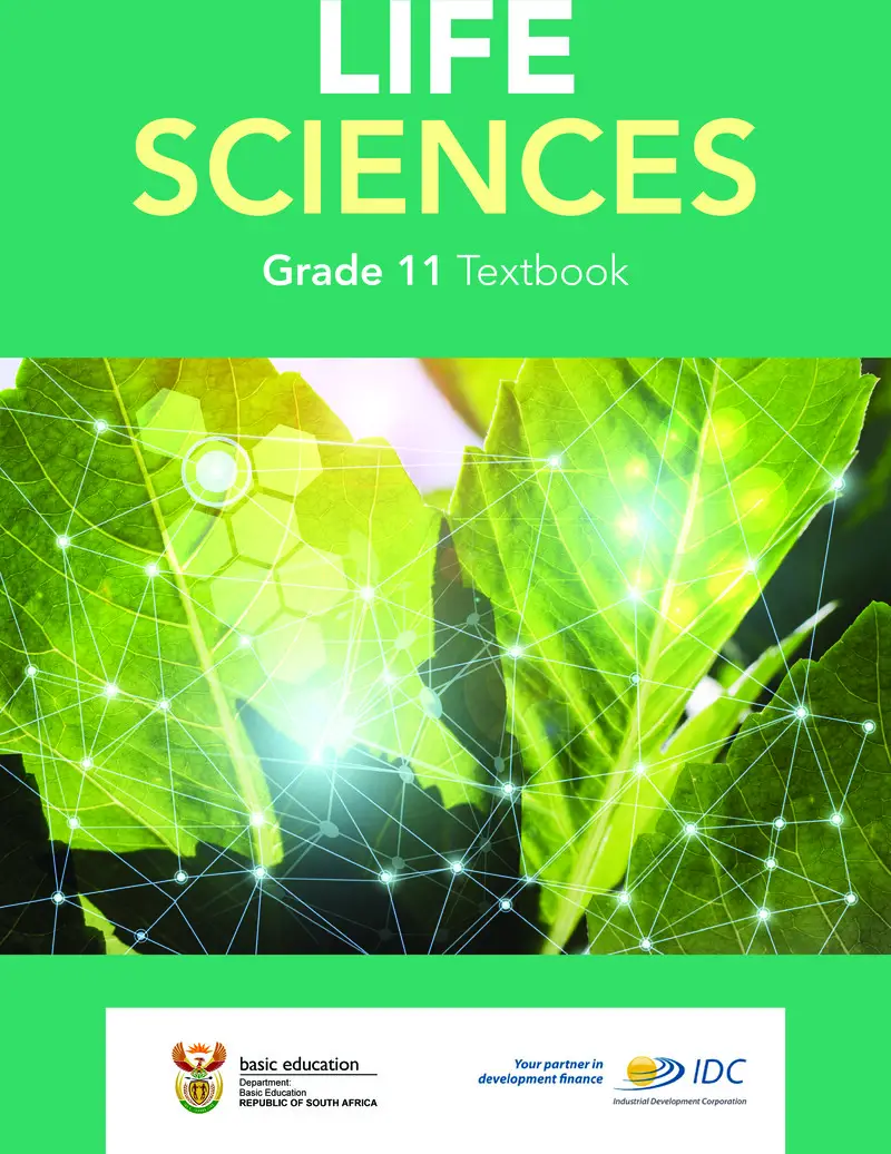 Textbook cover